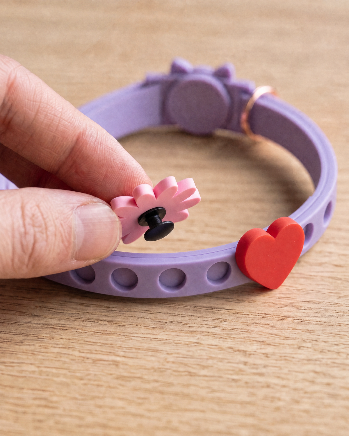 Charm Collar for Cats