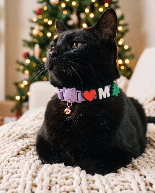 Black cat wearing a lavender charm collar with heart, letter and Christmas tree charms